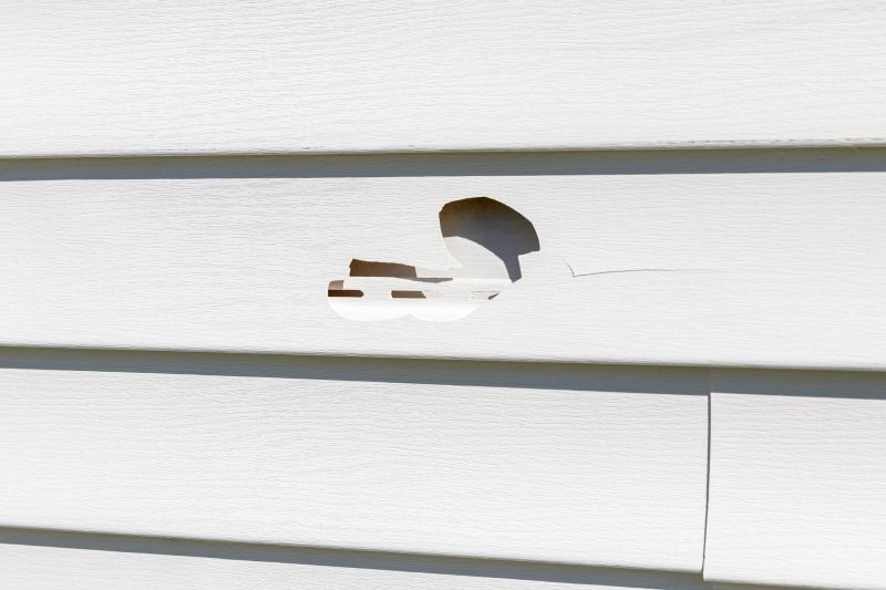 Replacement of Vinyl Siding Panel